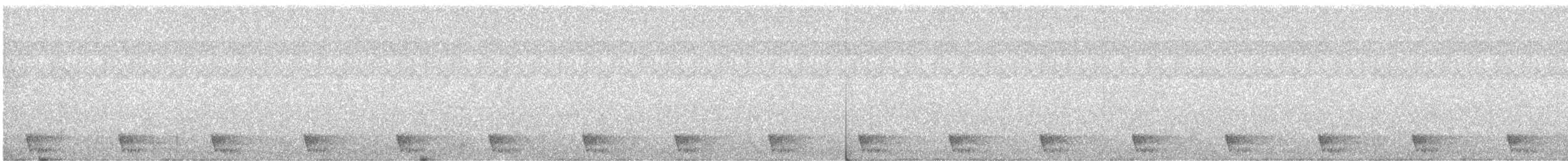 Large-tailed Nightjar - ML559329541