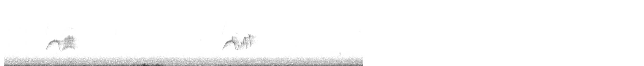 Светлобрюхий фиби - ML559341661