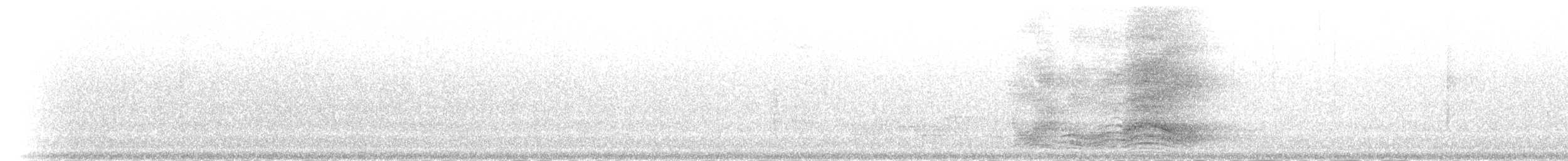 Spotted Catbird - ML55935451