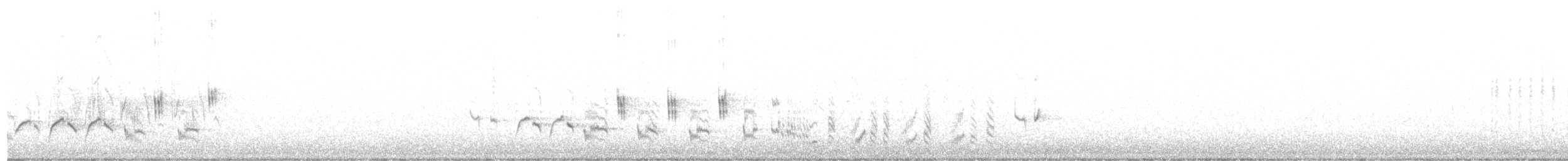 Eastern Orphean Warbler - ML559366401