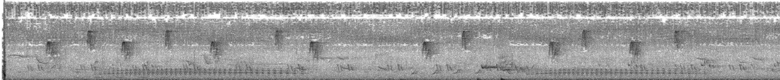 Бурый павлиний фазан - ML559378281