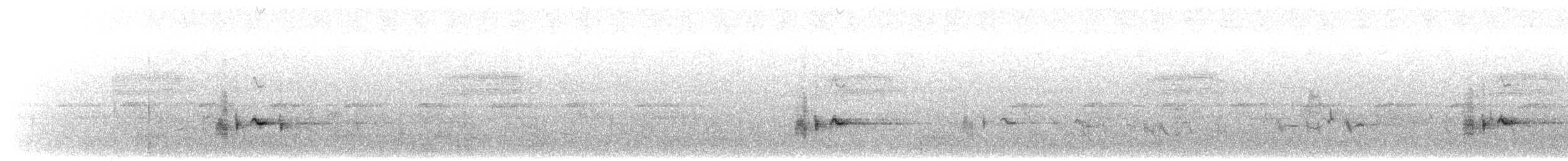 コシジロヒヨドリ - ML559421421