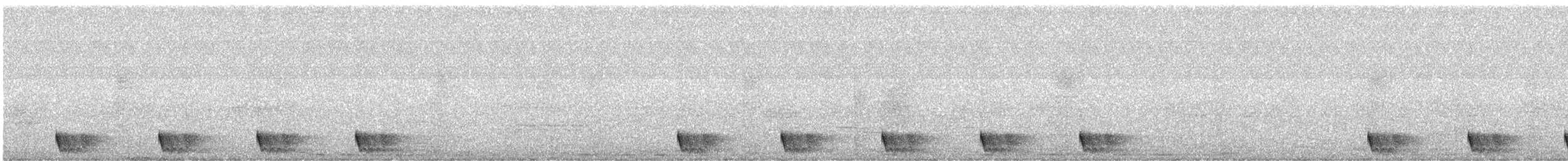 Large-tailed Nightjar - ML559458251