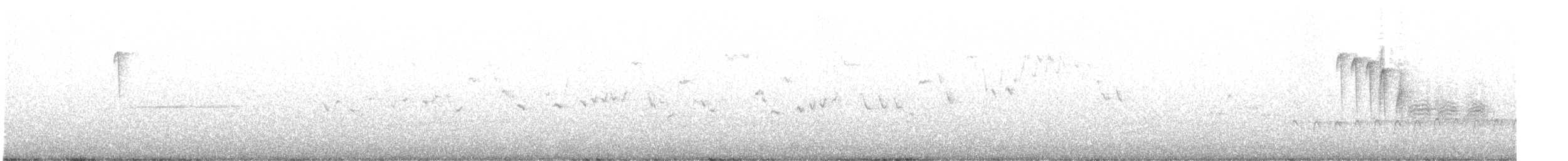 Winter Wren - ML559480161