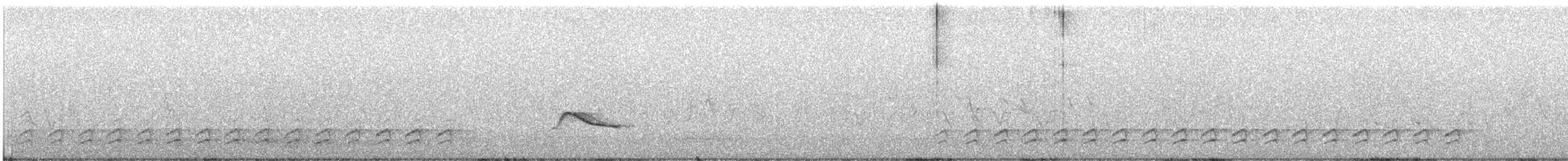 Повзик каролінський [група lagunae] - ML559495781