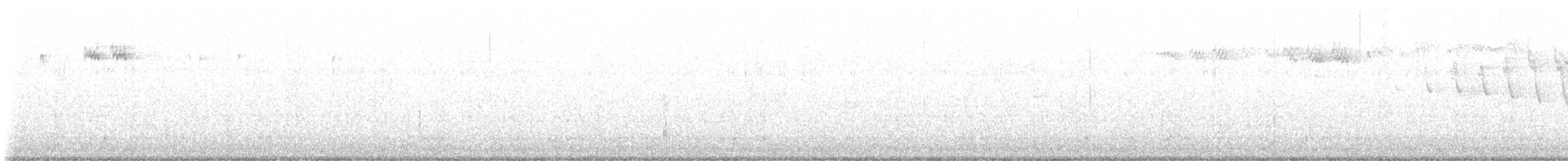 hvitbrynsvartspett - ML559522851