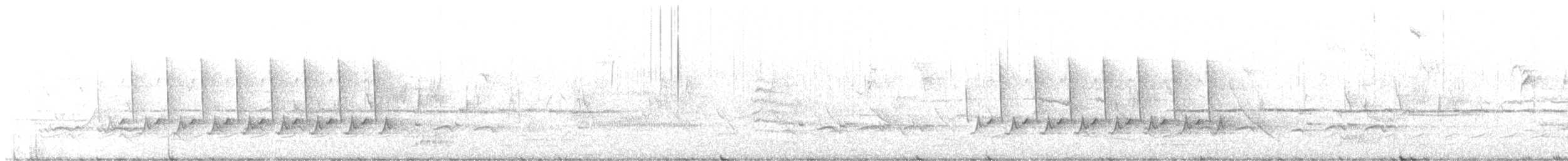 Каролинский крапивник - ML559541691