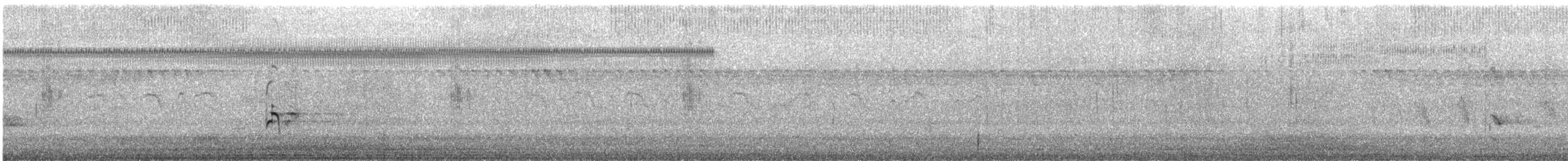 Braunhals-Säbelschnäbler - ML559564341