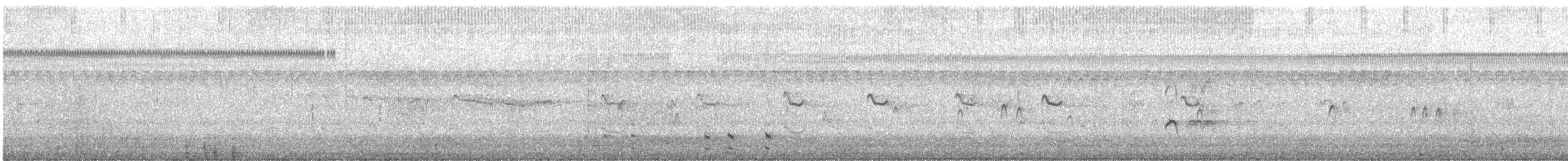 Tundraschlammläufer - ML559564501