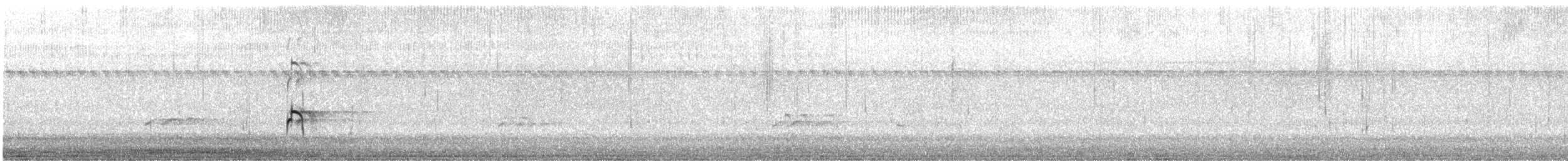 Braunhals-Säbelschnäbler - ML559570771
