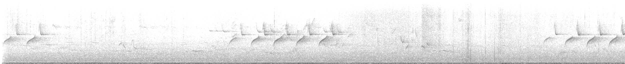 Синиця чорна - ML559584781