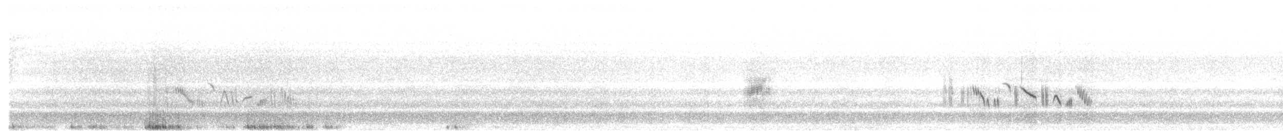 Western Black-eared Wheatear - ML559585531