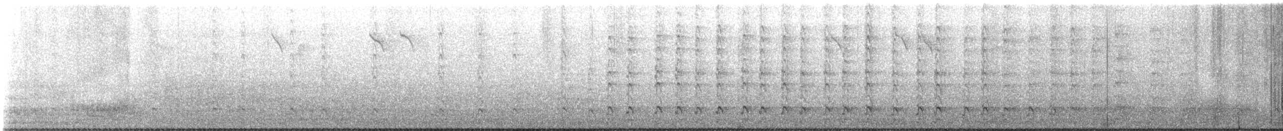 hvitbrynsvartspett - ML559611571