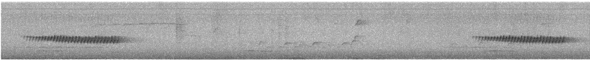 マツアメリカムシクイ - ML559614491