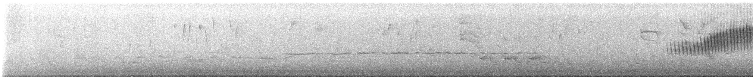 stryparula - ML559615291