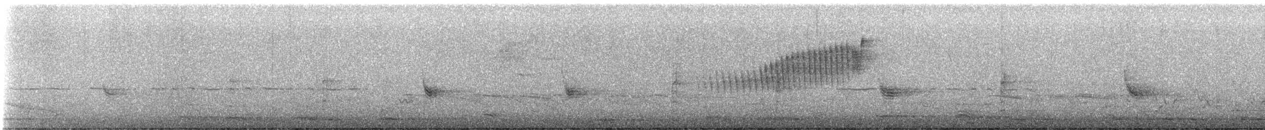 stryparula - ML559615301