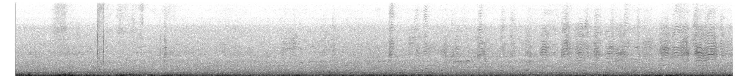 Barolo Shearwater - ML559616651
