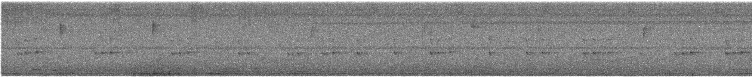 チャバラマユミソサザイ - ML559619601