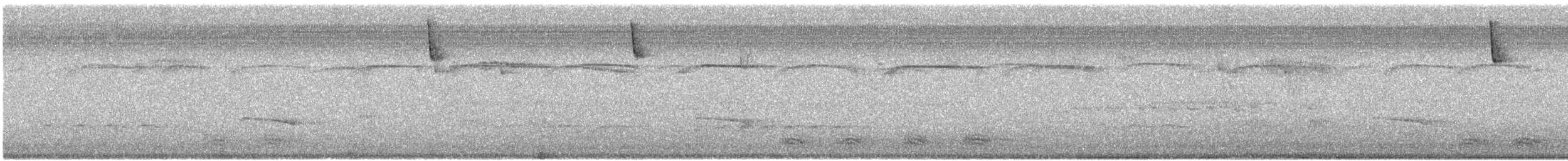 ヒメレンジャク - ML559652761