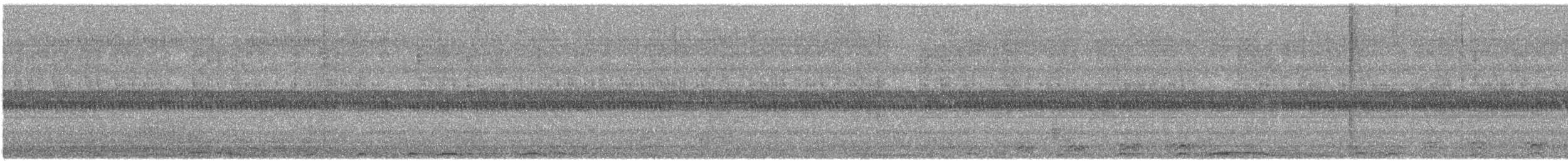 アメリカフクロウ - ML559663461