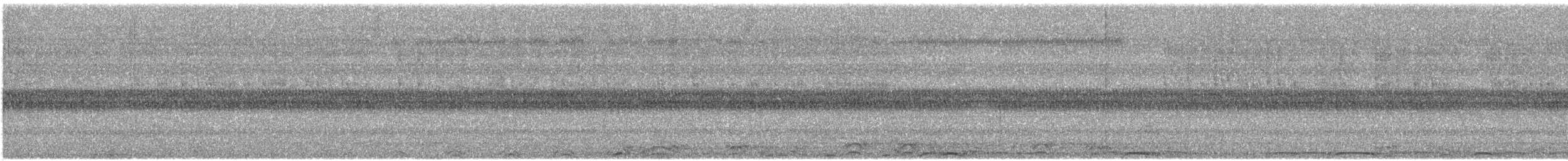 アメリカフクロウ - ML559663971