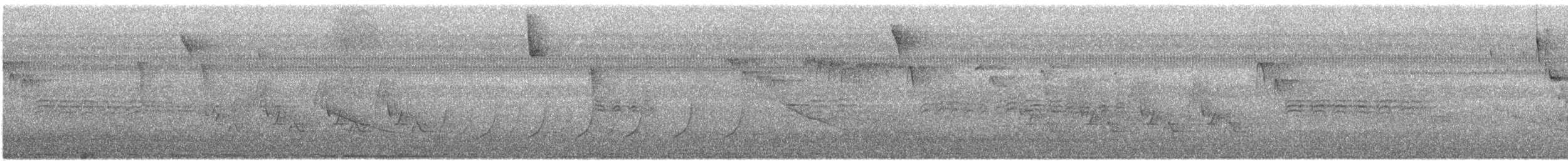 カロライナコガラ - ML559674521