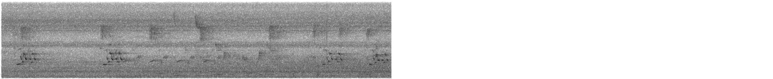 アオカケス - ML559675241