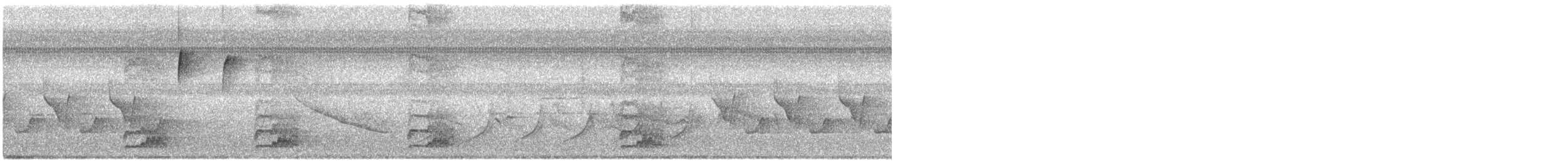 シマセゲラ - ML559675611