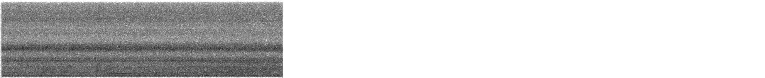 アメリカフクロウ - ML559681751