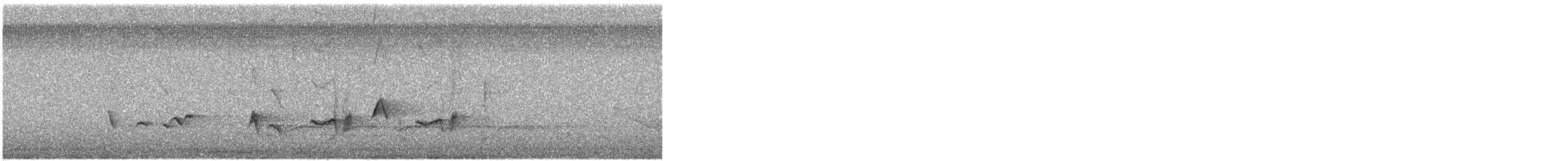 ナツフウキンチョウ - ML559695061