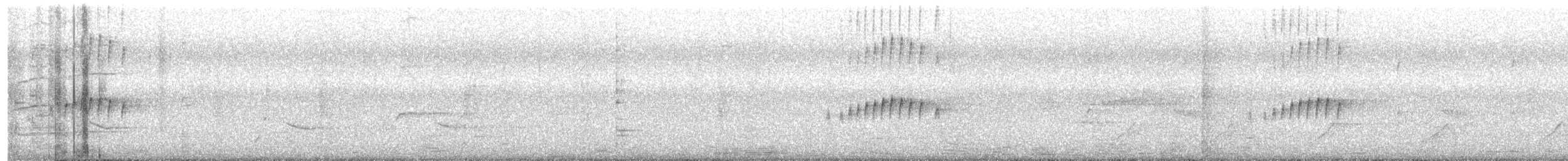 tropekongetyrann - ML559794531