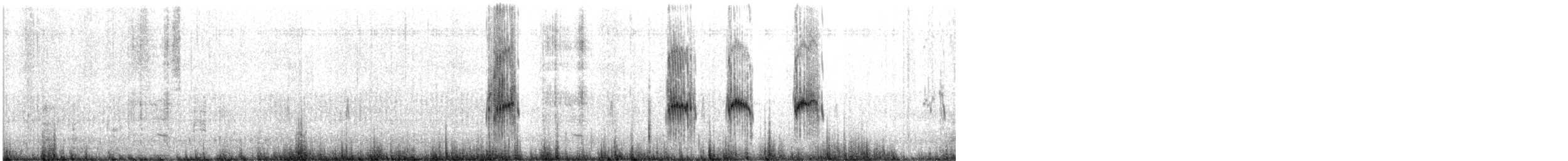 Chorlitejo de Santa Elena - ML559808631