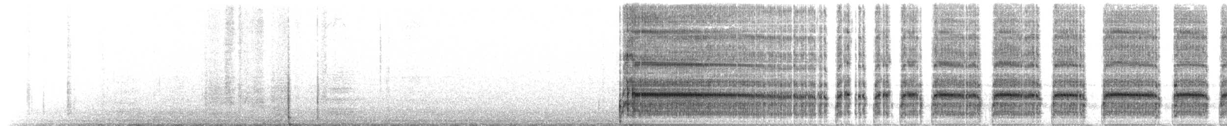 Rotschnabel-Tropikvogel - ML559813381