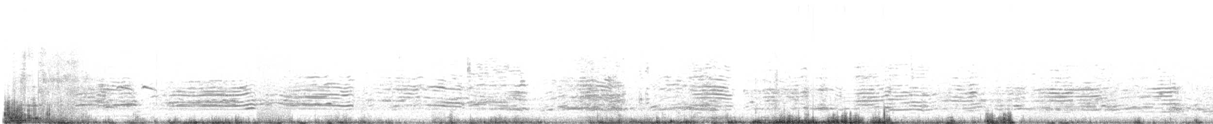 Kara Boyunlu Orman Leyleği - ML559819241