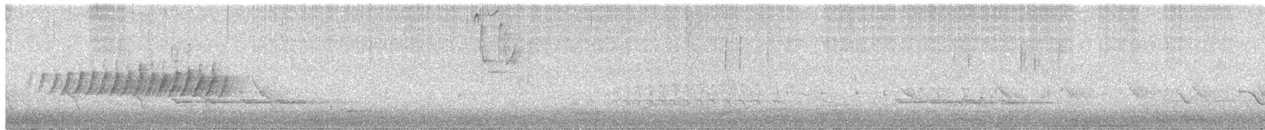 Pine Warbler - ML559824741