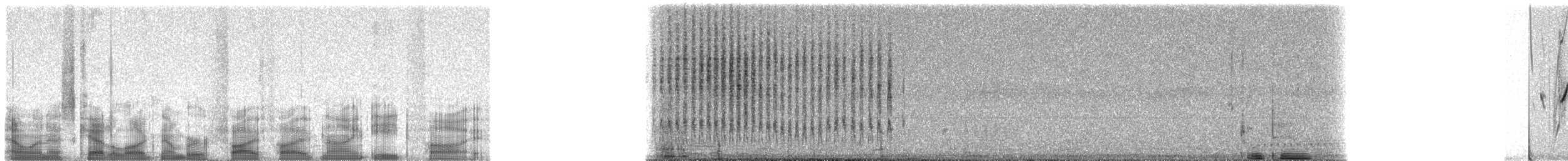 Strohwitwe - ML55985