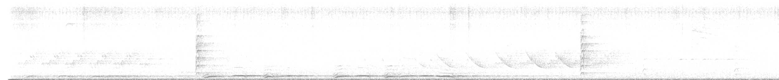 Barred Owl - ML559853591