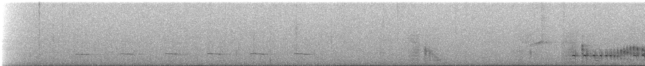 Sclater's Antwren - ML559867661