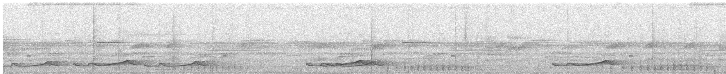 Silky-tailed Nightjar - ML559889241
