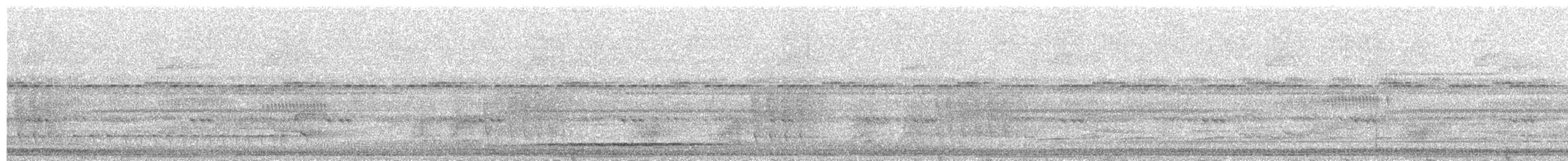ハイイロシギダチョウ - ML559897071