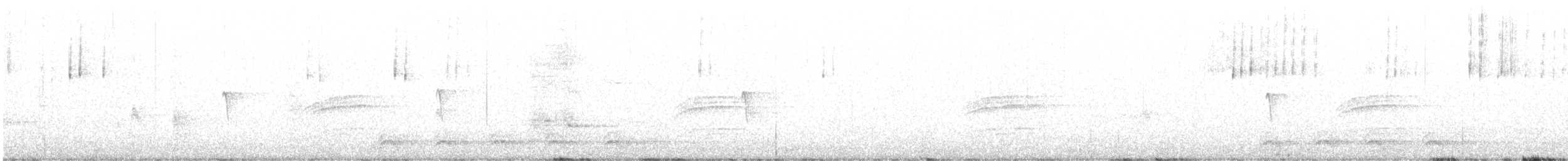 Дрізд-короткодзьоб плямистоволий - ML559947341