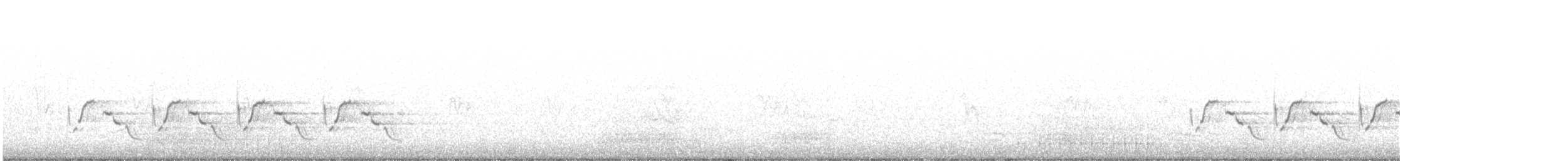 Поплітник каролінський - ML559955941