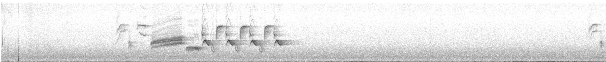 Bewick's Wren - ML559960791