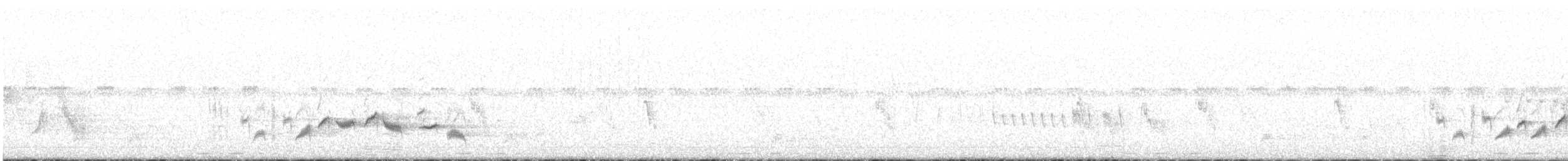 Western Orphean Warbler - ML559982591