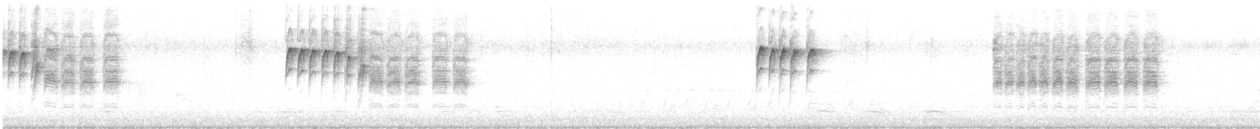 Carolina Chickadee - ML559996761