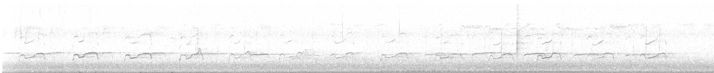 Fischadler (carolinensis) - ML560006631