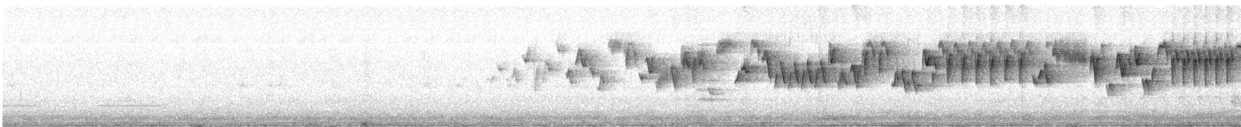 Troglodyte de Baird - ML560082091