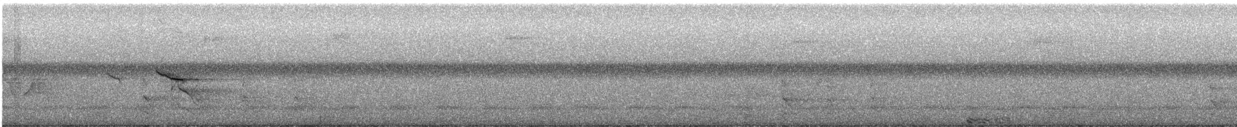 ハシボソキツツキ - ML560117281