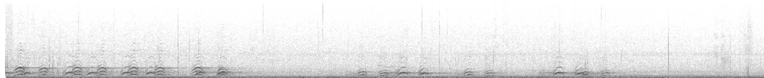 sovka štěkavá - ML560135761