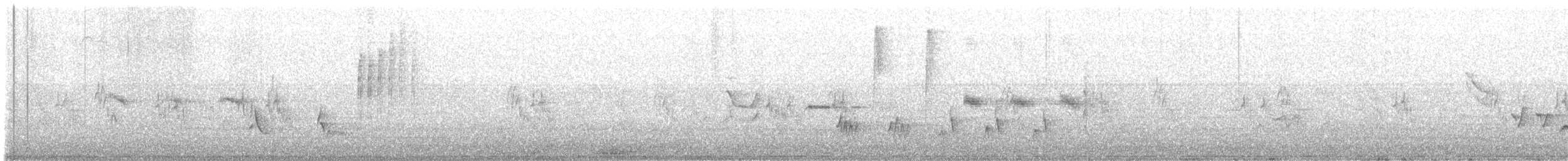 Зулбаран гургалдай - ML560162821